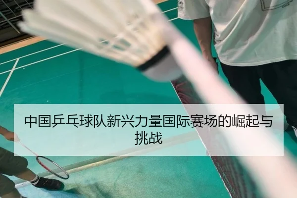 中国乒乓球队新兴力量国际赛场的崛起与挑战
